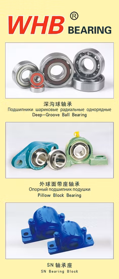 Pillow Block Bearing with ISO Certificate/Bearings/Bearing (UC204 UC205 UCP205 UCP205-16 UCF207 UCF207-12 UCT207 UCFC214 UCFL204-12 UCP218, used in machine)